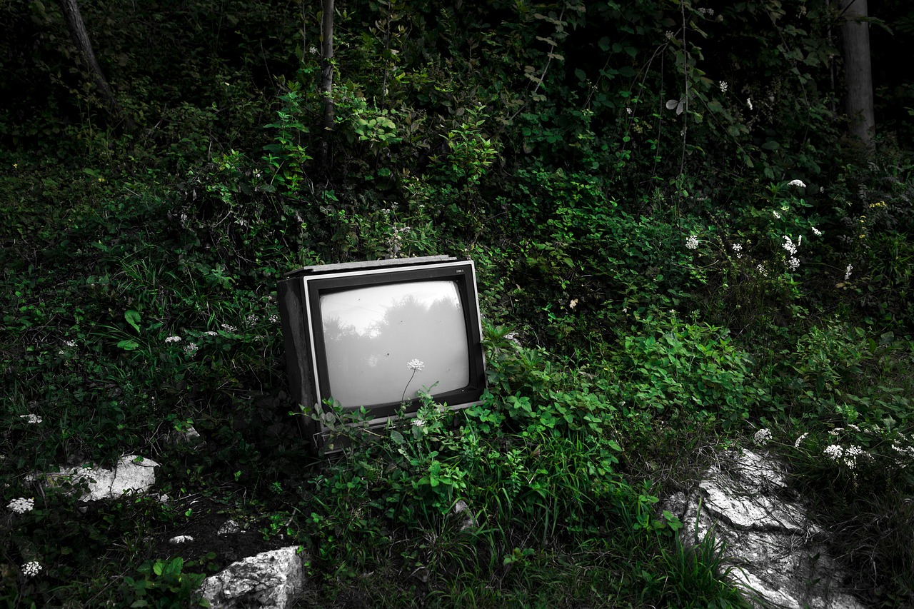 일본 실시간 tv 보는 법