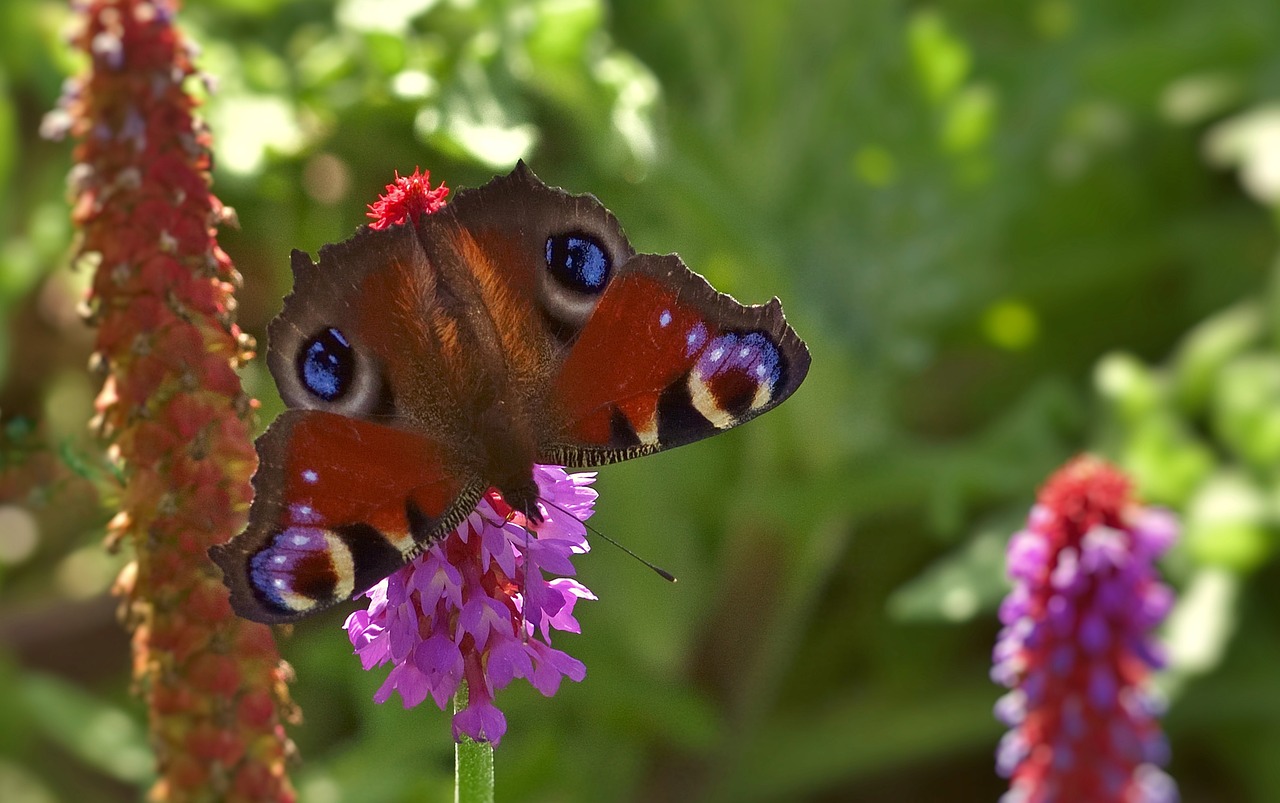 눈동자 커지는 법 더쿠