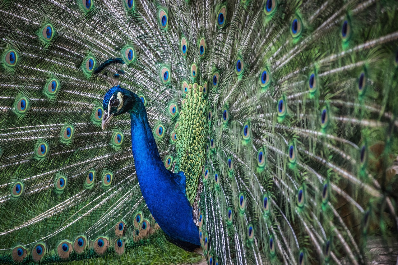 눈동자 커지는 법 더쿠